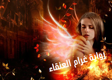صورة الكاتب: داليا احمد