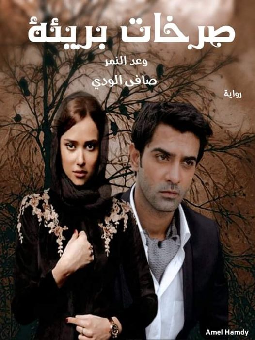 صورة الكاتب: صافي الودي
