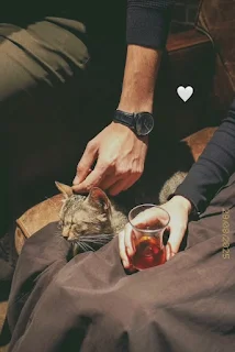 صورة الكاتب: ولاء عمر