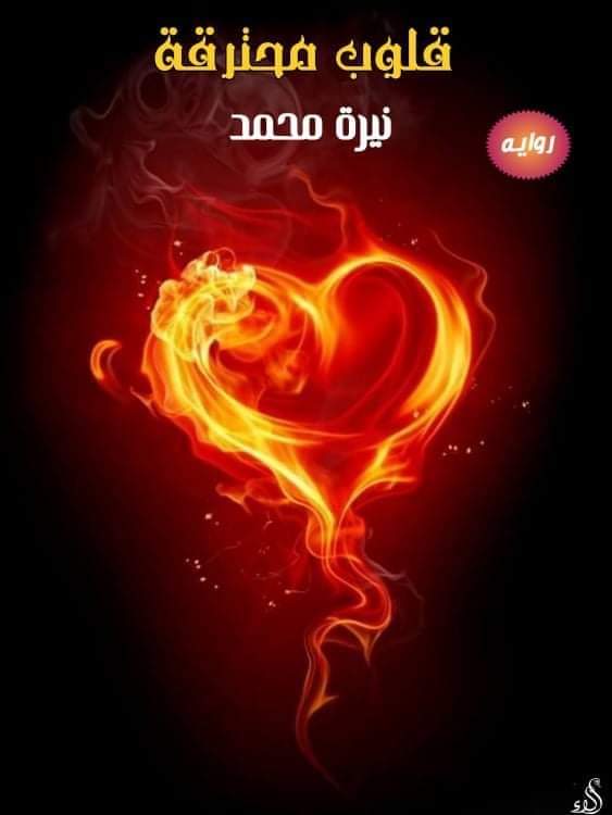 صورة الكاتب: نيرة محمد