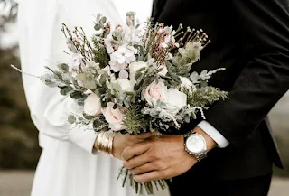 صورة الكاتب: حبيبة ياسر