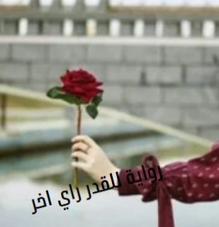 صورة الكاتب: سندس محمد