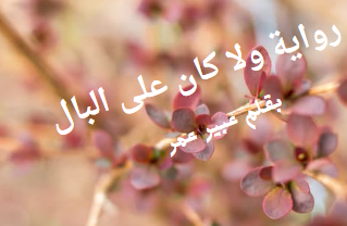 صورة الكاتب: عبير عمر