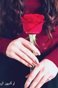 عانس