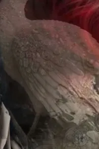 نور والاسد