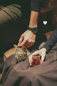 جرح فتى