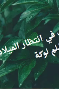حب في انتظار الميلاد