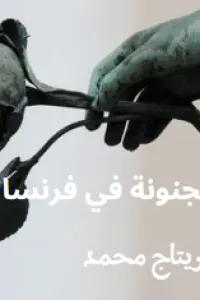 مجنونة في فرنسا