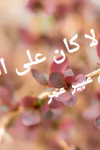 ولا كان على البال