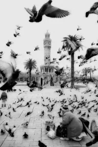 لعل الله يحدث بعد ذلك امرا