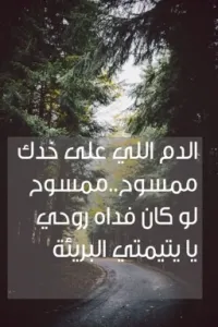 الدم اللي على خدك ممسوح ..ممسوح لو كان فداه روحي يايتيمتي البرييئه../مكتمله