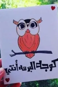 وجه البوم "مكتمله"