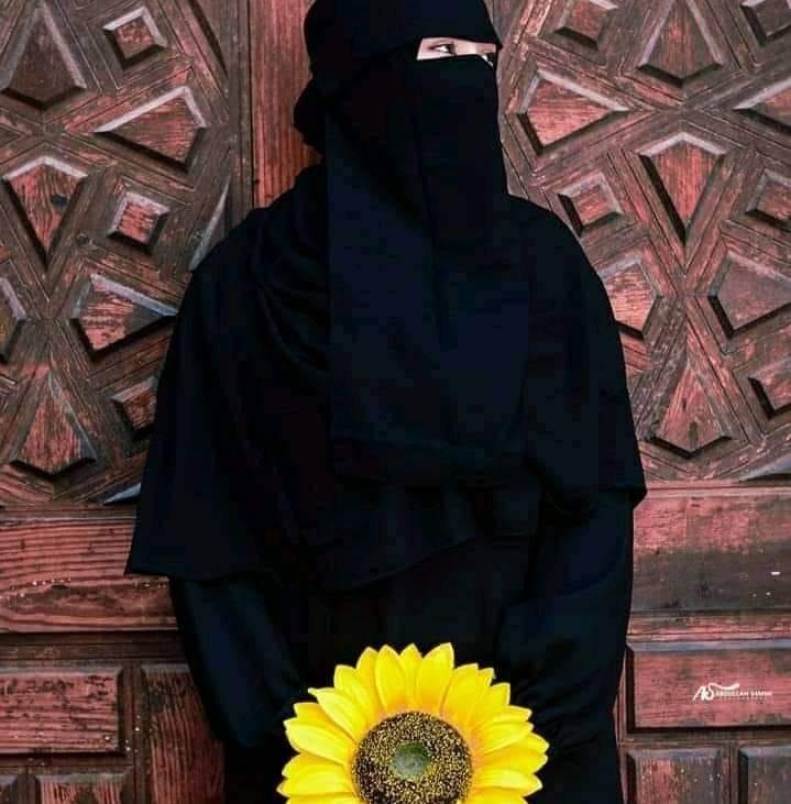 شهد الشيخ