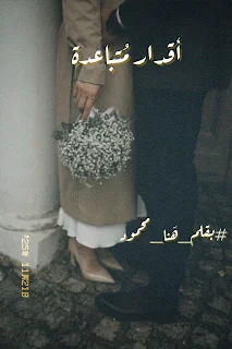 هنا محمود