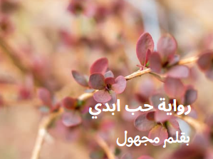 مجهول