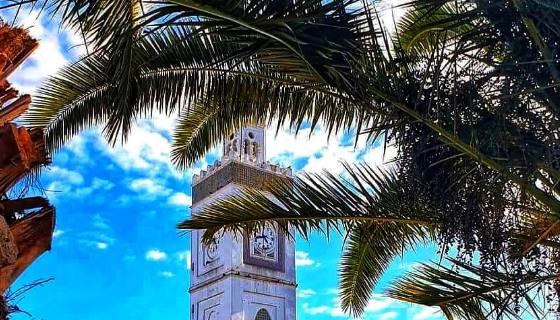 صورة الكاتب: فاطمة ابراهيم