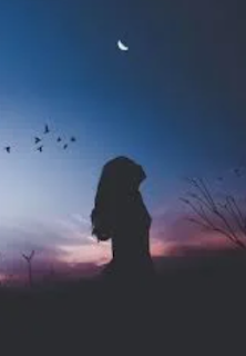 سيبال