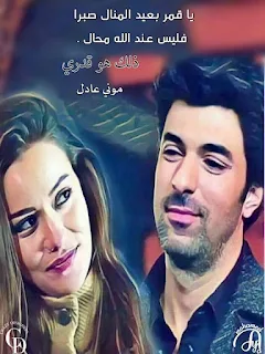 موني عادل