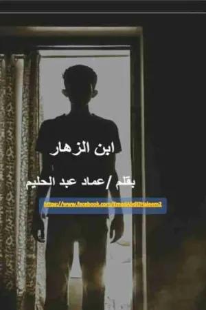 رواية ابن الزهار بقلم عماد عبد الحليم - غلاف الرواية