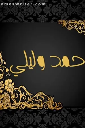 رواية احمد وليلي بقلم زينب محمود - غلاف الرواية