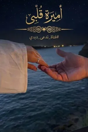 رواية أميرة قلبي بقلم ديدي - غلاف الرواية
