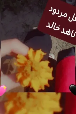 رواية فعل مردود بقلم ناهد خالد - غلاف الرواية