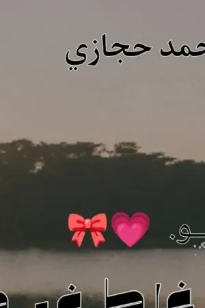 رواية غلط غير مقصود بقلم الاء محمد حجازي - غلاف الرواية