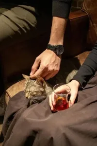 هذا وذاك وقلبي