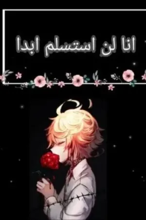 رواية لن استسلم بقلم سولييه نصار - غلاف الرواية