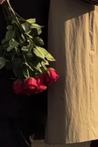 ليالي نوفمبر