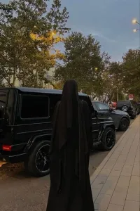 ناردين والغريب