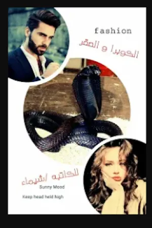 رواية الكوبرا و الصقر بقلم شيماء - غلاف الرواية
