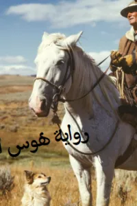 هوس اربعيني