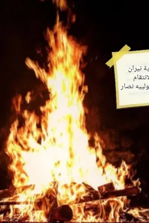 رواية نيران الانتقام بقلم سولييه نصار - غلاف الرواية