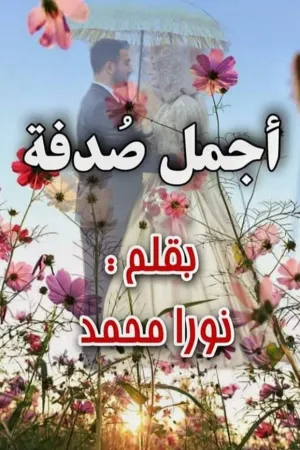 رواية أجمل صدفة بقلم نورا محمد - غلاف الرواية
