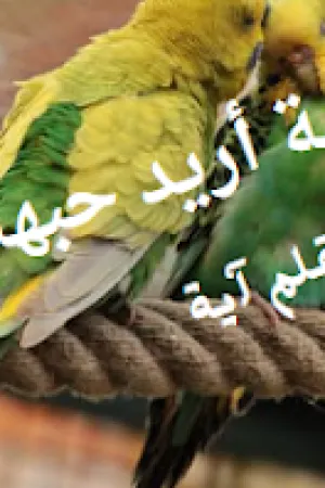 رواية اريد حبها بقلم سولييه نصار - غلاف الرواية