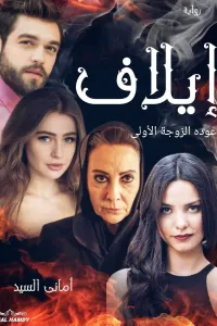 ايلاف