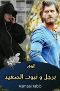 بين برجل ونبوت الصعيد