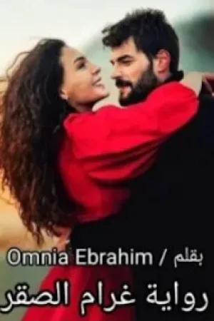 رواية غرام الصقر بقلم امنية ابراهيم - غلاف الرواية