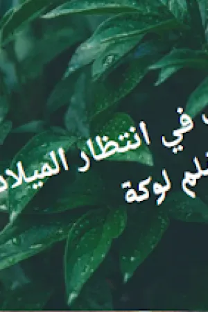 رواية حب في انتظار الميلاد بقلم لوكة - غلاف الرواية