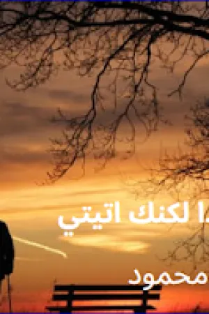رواية كنت وحيدا لكنك اتيتي بقلم مريم محمود - غلاف الرواية