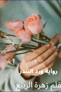وردة الاڤوكاتو