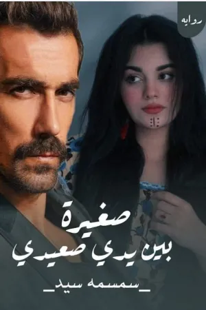 رواية صغيرة بين يدي صعيدي بقلم سمسة سيد - غلاف الرواية