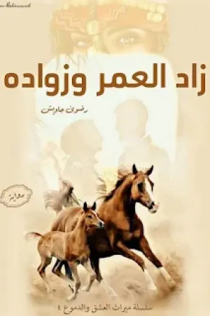 رواية زاد العمر وزواده بقلم رضوى جاويش - غلاف الرواية
