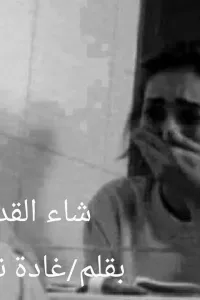 شاء القدر