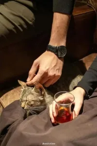 طلبية كتب