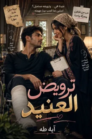رواية ترويض العنيد بقلم آية طه - غلاف الرواية