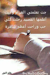 جت تعلمني الغرام وجيت أعلمها القصيد رحلت كلي حب وراحت أعظم شاعرة