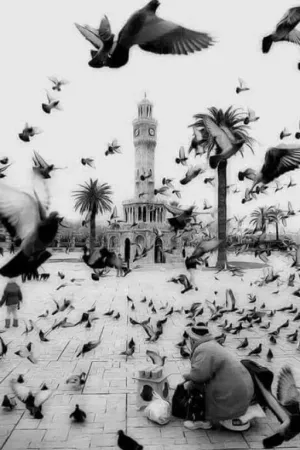 رواية لعل الله يحدث بعد ذلك امرا بقلم rr55ll55 - غلاف الرواية
