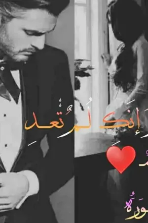 رواية لو انك لم تعد ..... بقلم نورا ناصر - غلاف الرواية